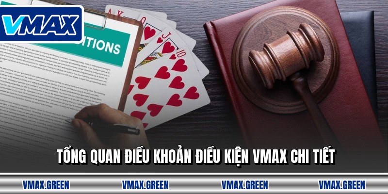 Tổng quan điều khoản điều kiện VMAX chi tiết